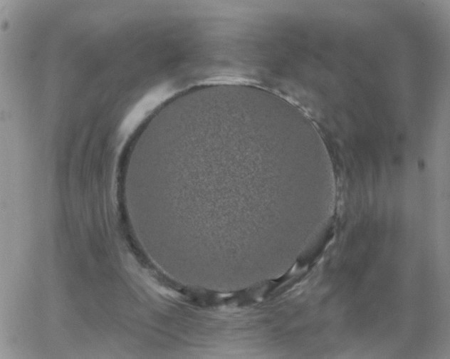 X0000065260296200602242122