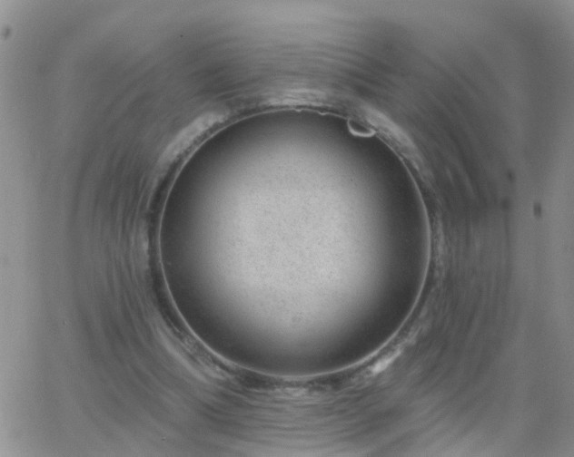 X0000065260298200602242121