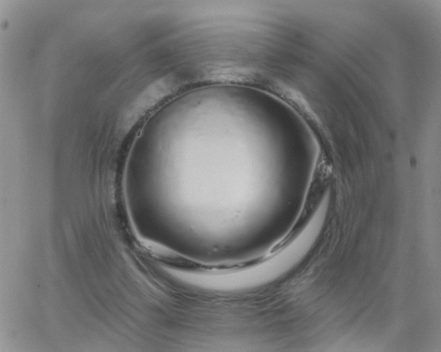 X0000065260299200602242121