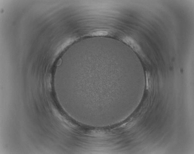 X0000065260300200602242121