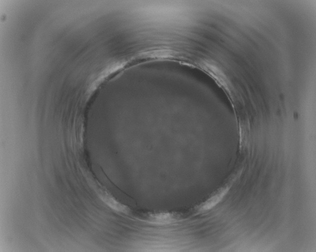 X0000065260301200602242121