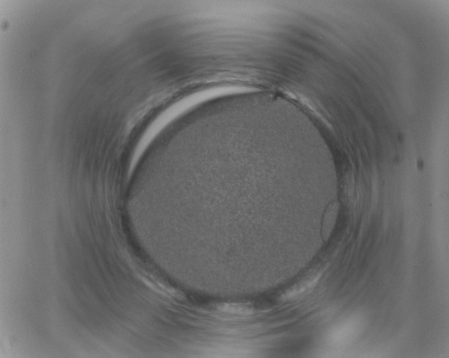 X0000065260303200602242121