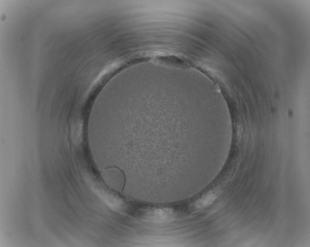 X0000065260304200602242121