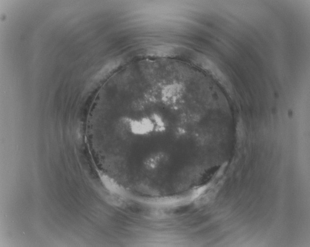 X0000065260305200602242121