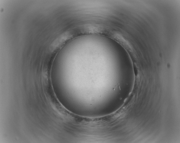 X0000065260306200602242121