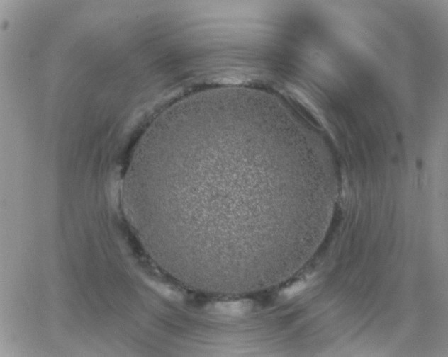 X0000065260307200602242121