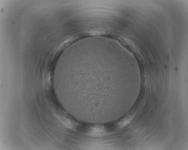 X0000065260308200602242121