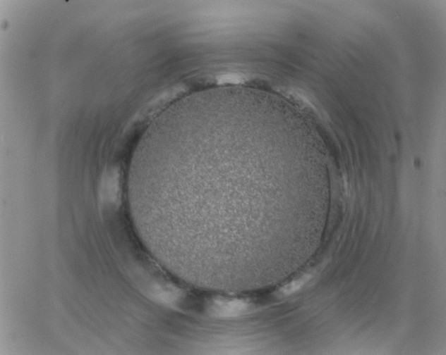 X0000065260311200602242121