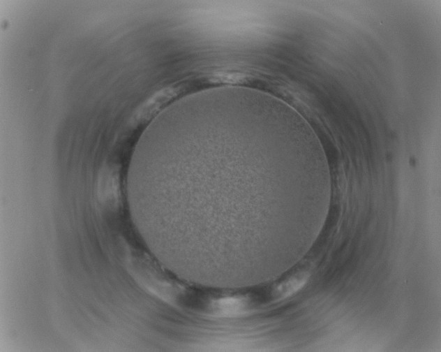 X0000065260312200602242121