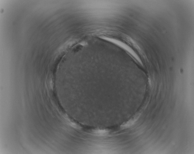 X0000065260313200602242121