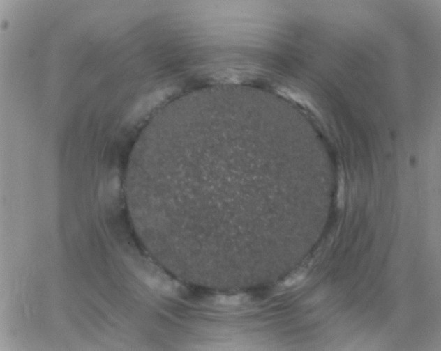 X0000065260314200602242121