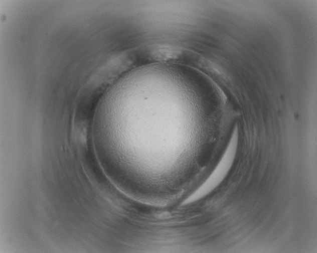 X0000065260315200602242121