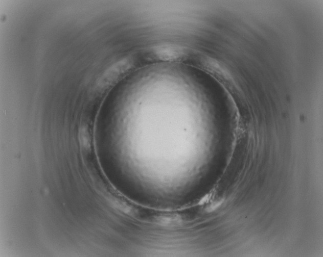 X0000065260317200602242121