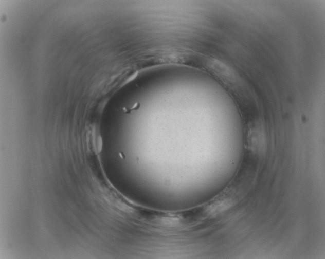 X0000065260318200602242121