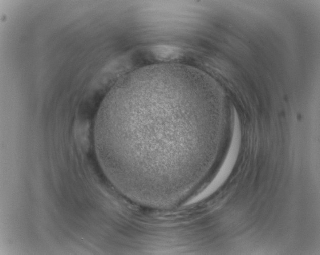 X0000065260319200602242121