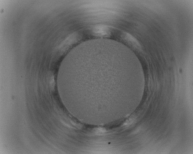 X0000065260320200602242121