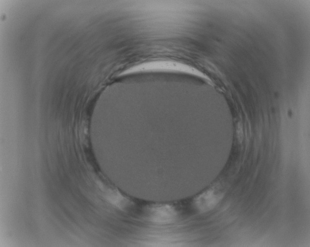 X0000065260322200602242121