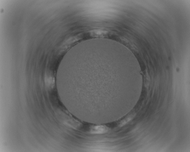 X0000065260324200602242121