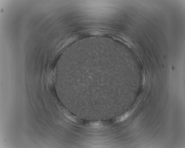 X0000065260325200602242121