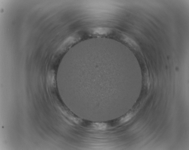 X0000065260328200602242121