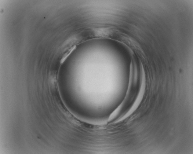 X0000065260329200602242121