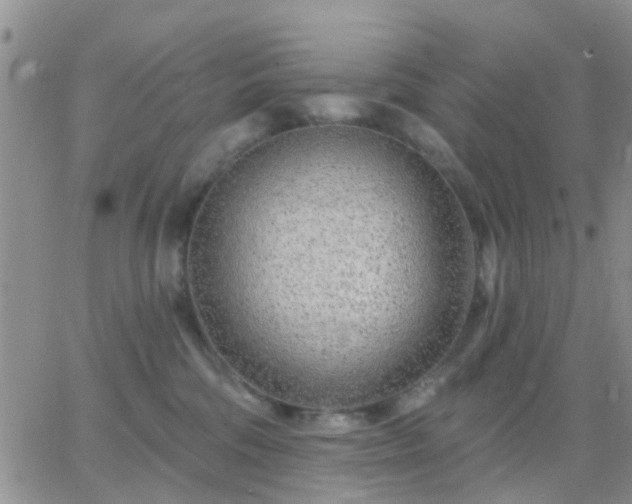 X0000065260330200602242121