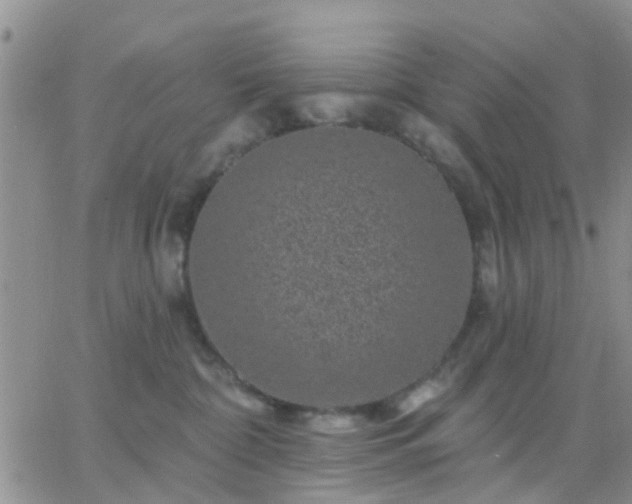 X0000065260332200602242121