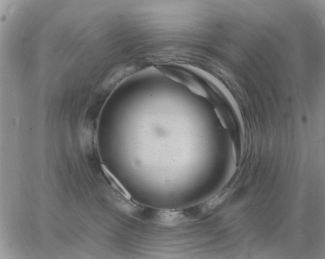 X0000065260333200602242121