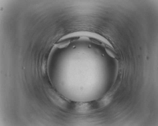 X0000065260334200602242121