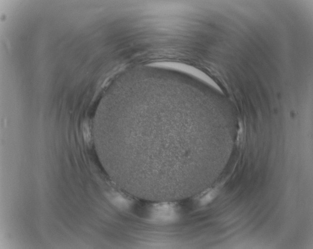 X0000065260335200602242121