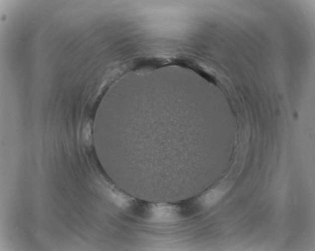 X0000065260336200602242121