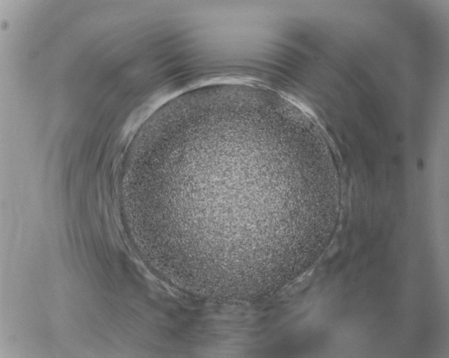 X0000065260337200602242120