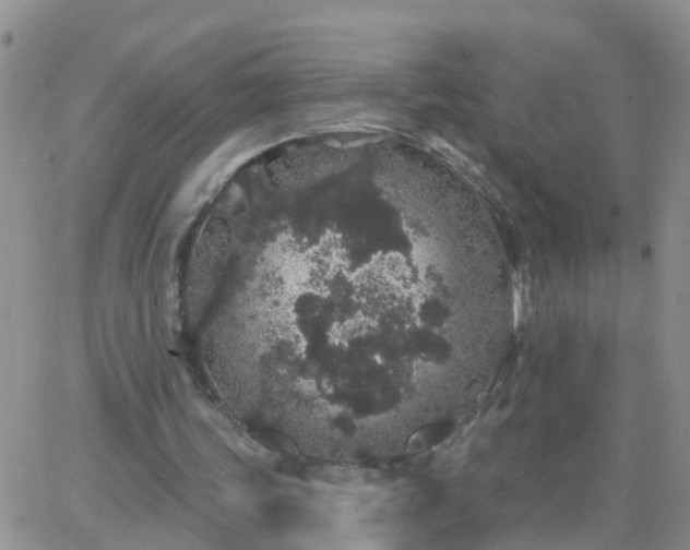 X0000065260339200602242120