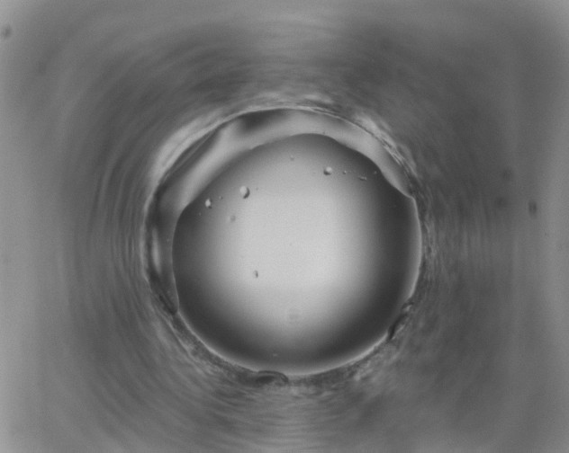 X0000065260340200602242120