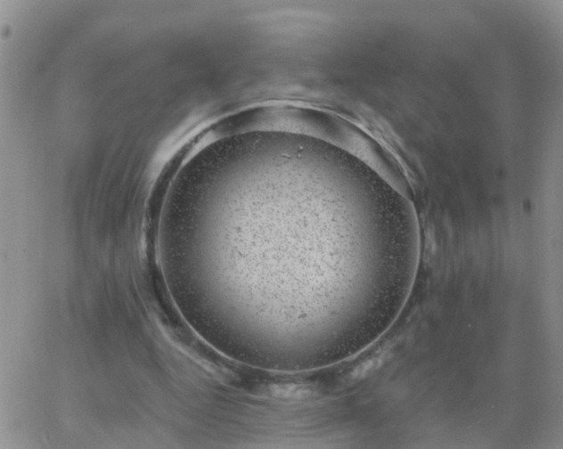 X0000065260344200602242120