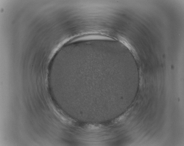 X0000065260346200602242120