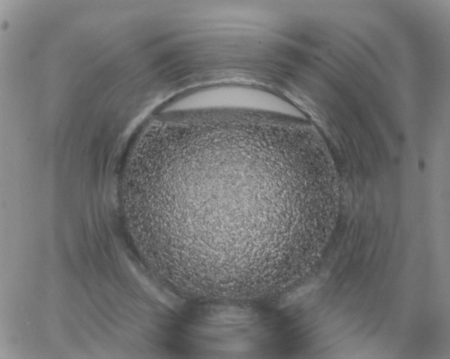 X0000065260347200602242120