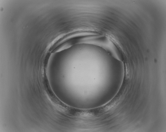 X0000065260348200602242120