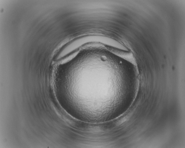 X0000065260349200602242120