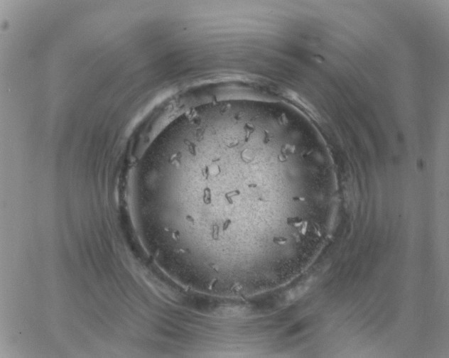 X0000065260350200602242120