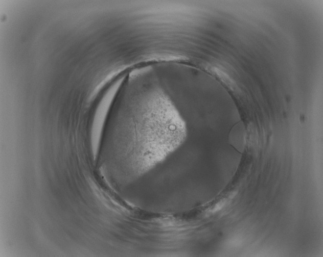 X0000065260351200602242120