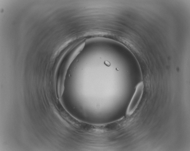 X0000065260352200602242120