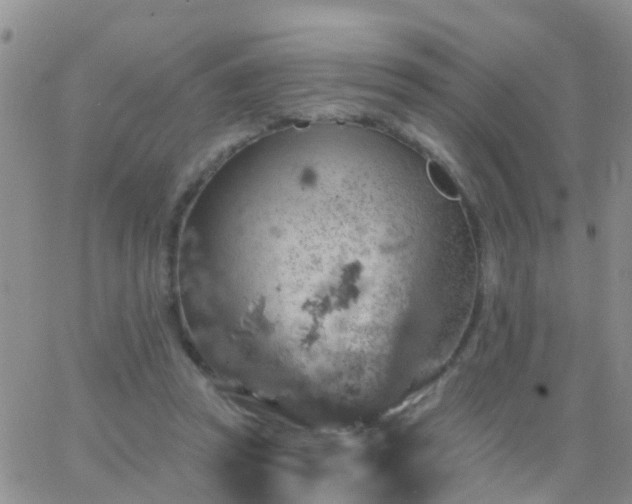 X0000065260353200602242120