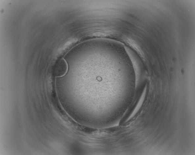 X0000065260354200602242120