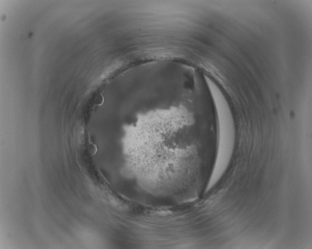 X0000065260355200602242120