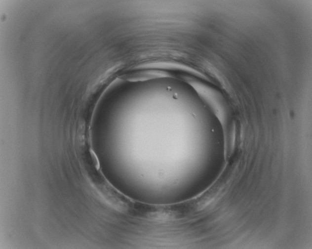 X0000065260356200602242120