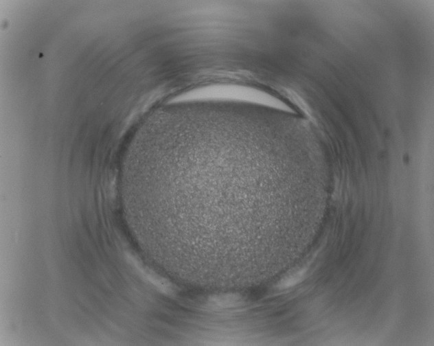 X0000065260357200602242120