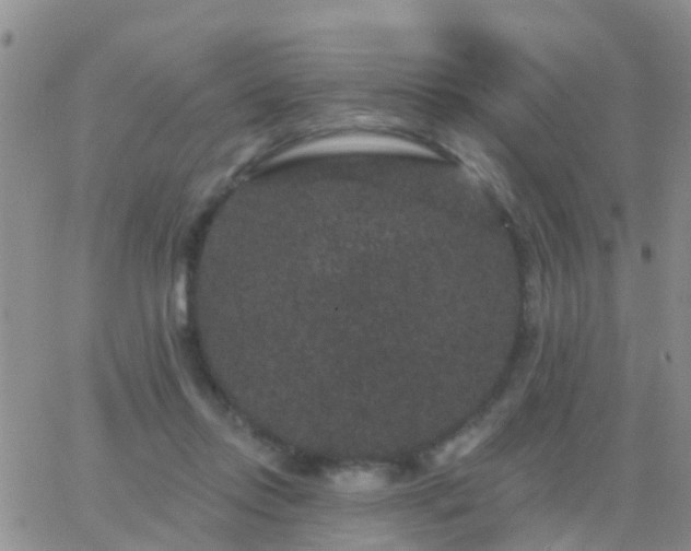 X0000065260358200602242120