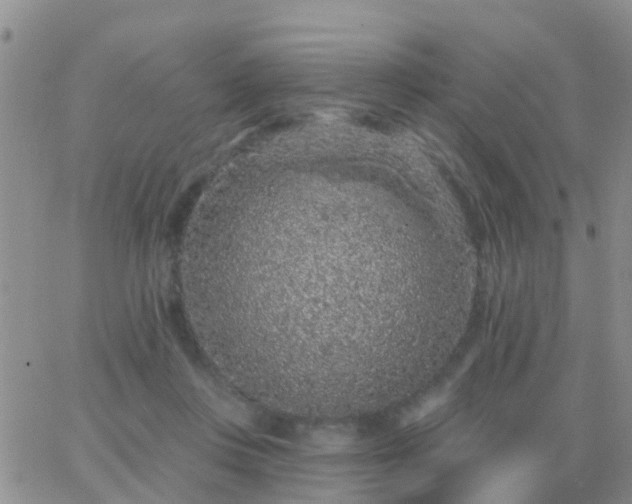 X0000065260359200602242120