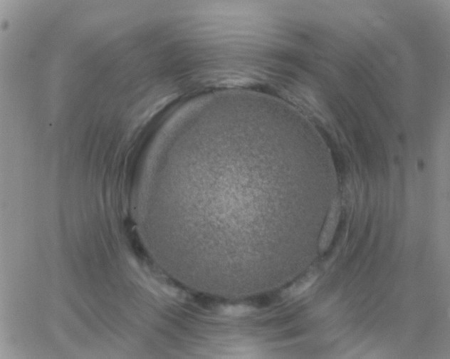 X0000065260360200602242120